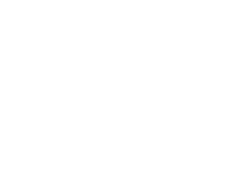 Technix
